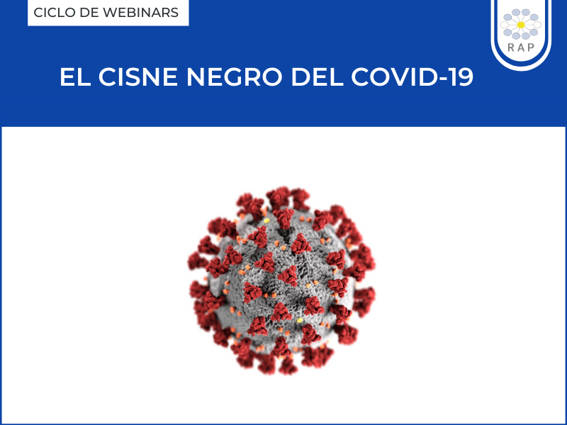 El cisne negro del COVID-19: desafíos de la pandemia
